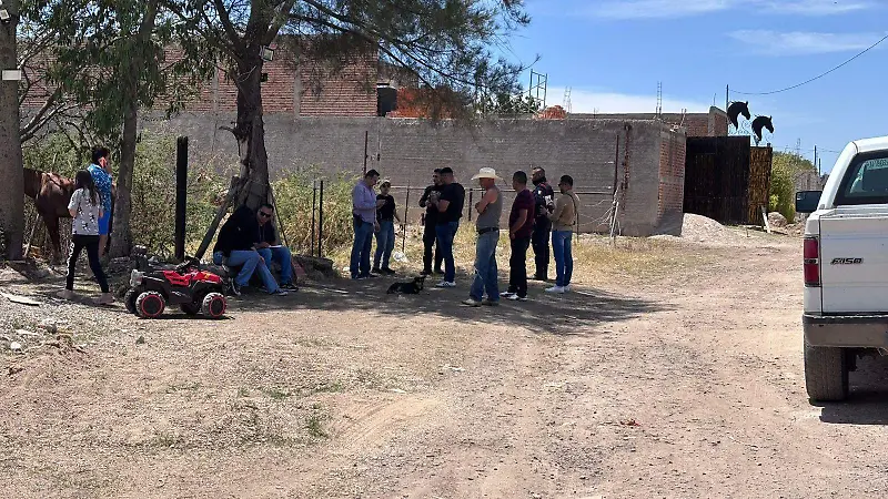 Perrito El Salto  (4).jpeg